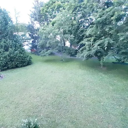 T5 En Pleine Nature A Viroflay-versailles Viroflay