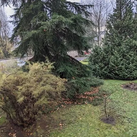 T5 En Pleine Nature A Viroflay-versailles Apartment